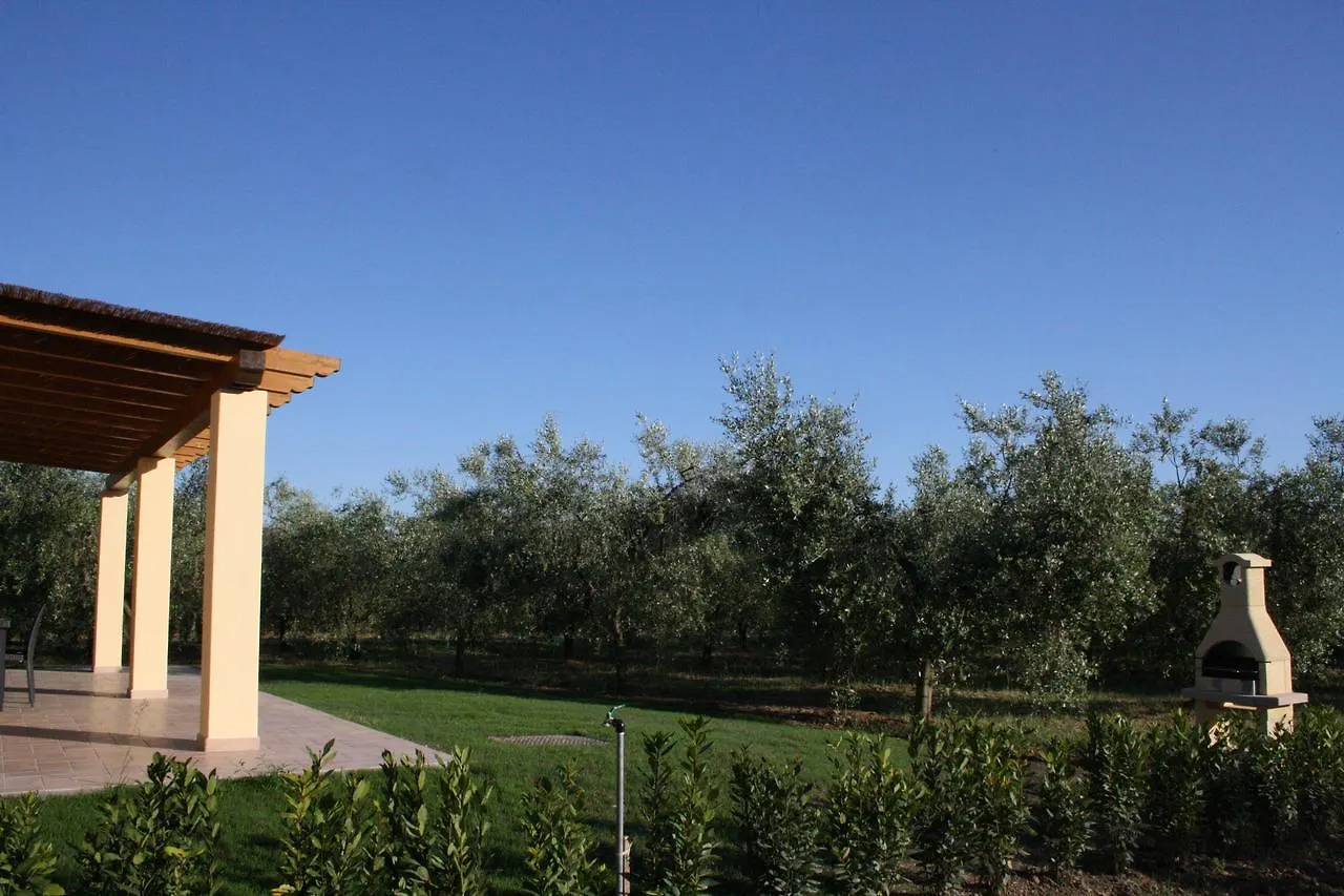 Farm stay Agriturismo Dallolivo Bolgheri
