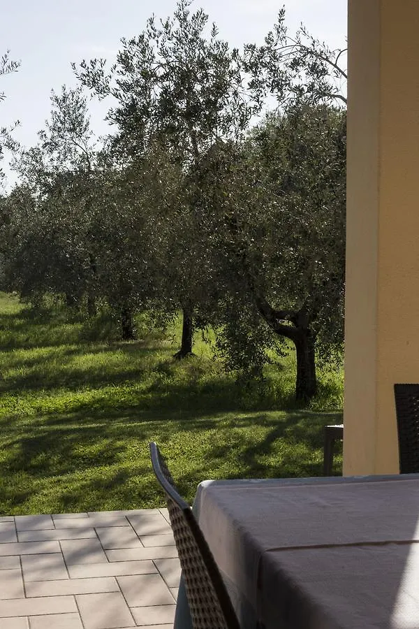 Agriturismo Dallolivo Bolgheri Farm stay