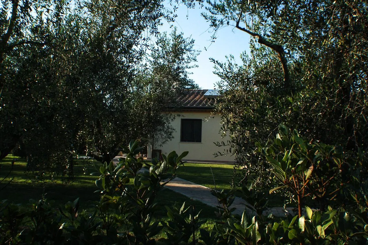 Farm stay Agriturismo Dallolivo Bolgheri